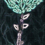 art10