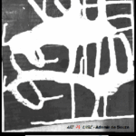 art11