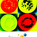 art13