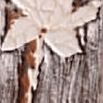 art23