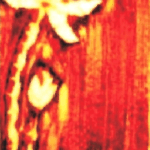art26