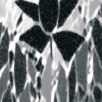 art38
